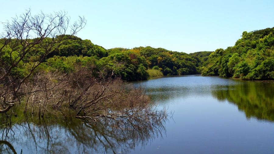 バス釣りの舞台、野池