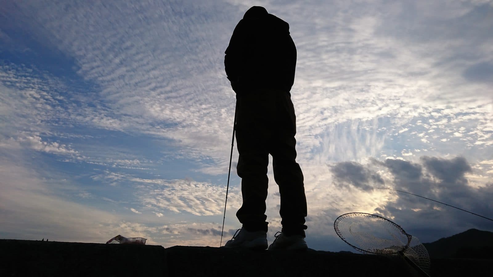 落とし込み・ヘチ釣りをしている様子
