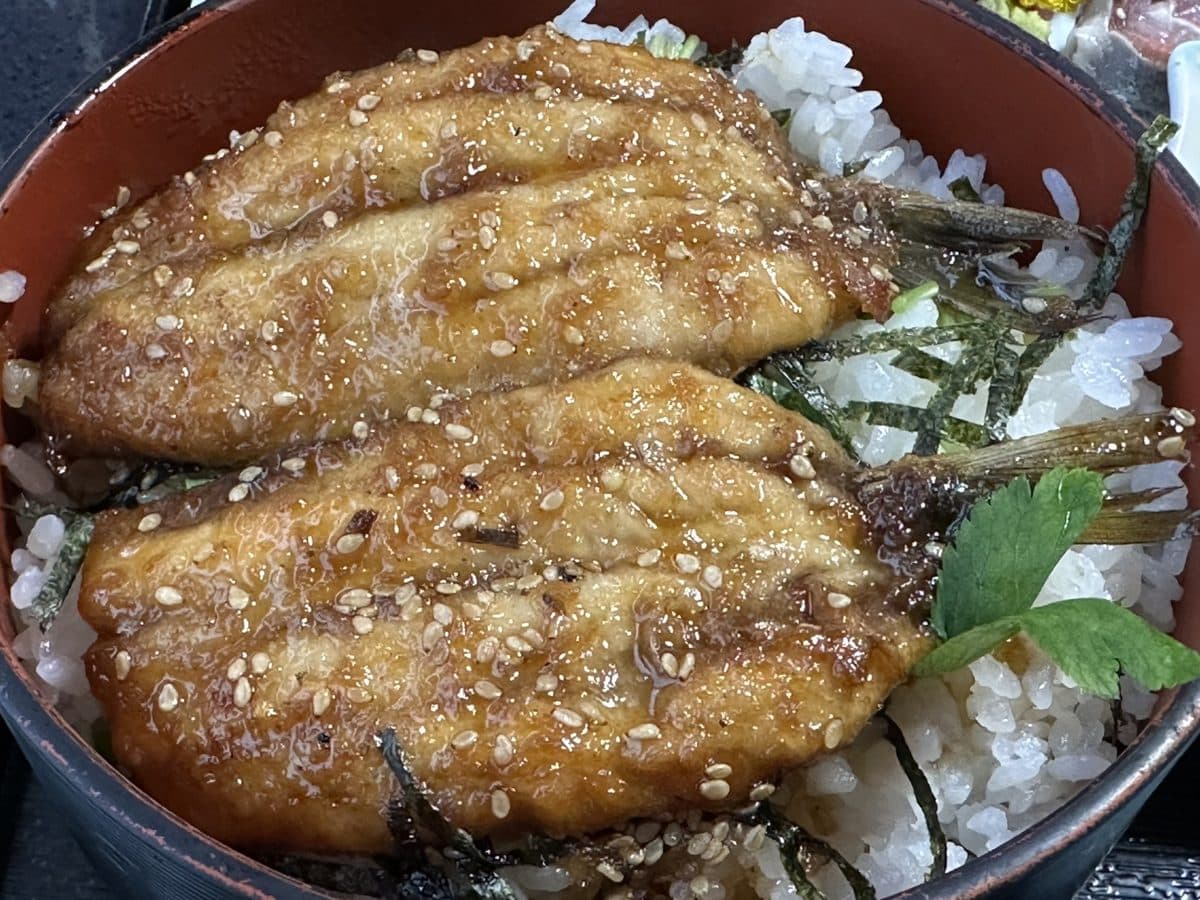 イワシの蒲焼き