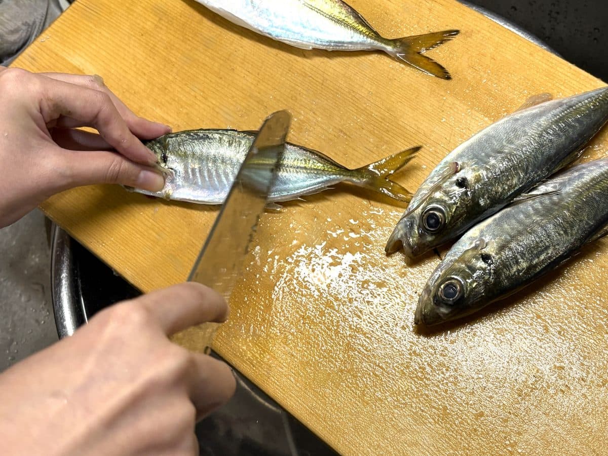 釣った魚の下処理