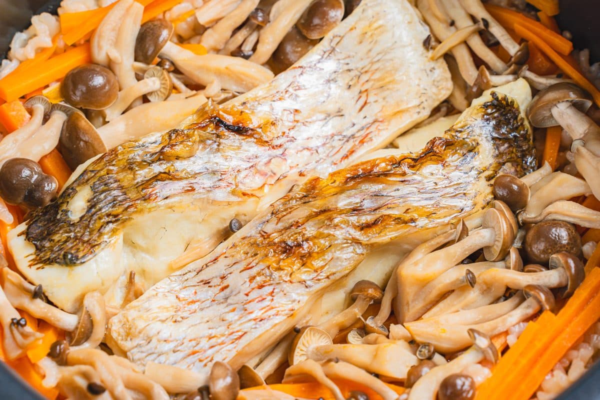 魚の炊き込みご飯(鯛めし)